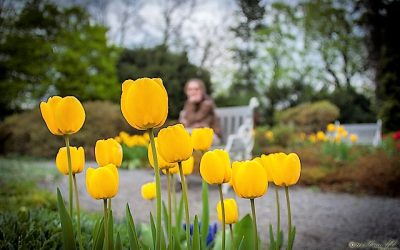 4 practical things to do during the Easter holidays to boost your career relaunch