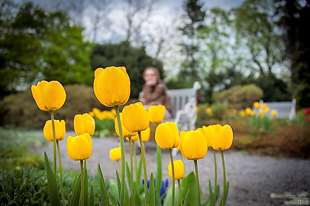 4 practical things to do during the Easter holidays to boost your career relaunch